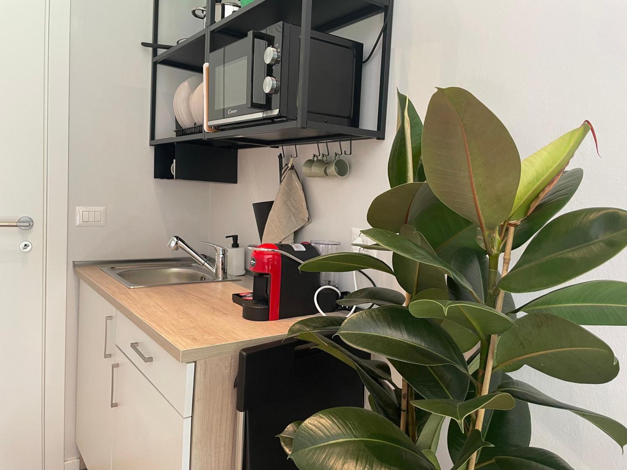 Apartamento Little - Lm2 - Lm3 - Lm4 *